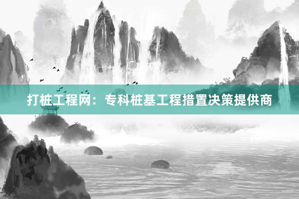 打桩工程网：专科桩基工程措置决策提供商